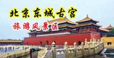 东北骚逼淫语对白淫荡少妇视频中国北京-东城古宫旅游风景区
